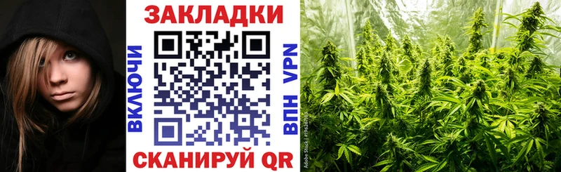 Где найти наркотики Петровск-Забайкальский Псилоцибиновые грибы СОЛЬ Каннабис КОКАИН
