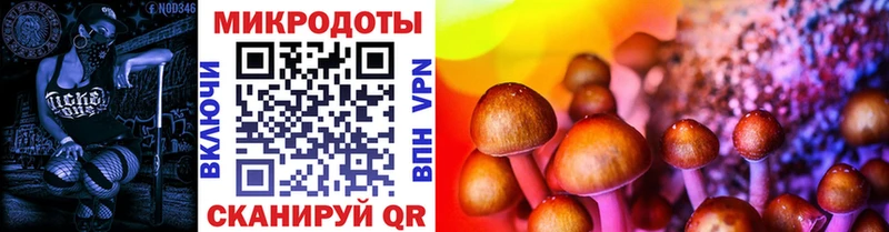 Галлюциногенные грибы Cubensis что такое наркотик Петровск-Забайкальский